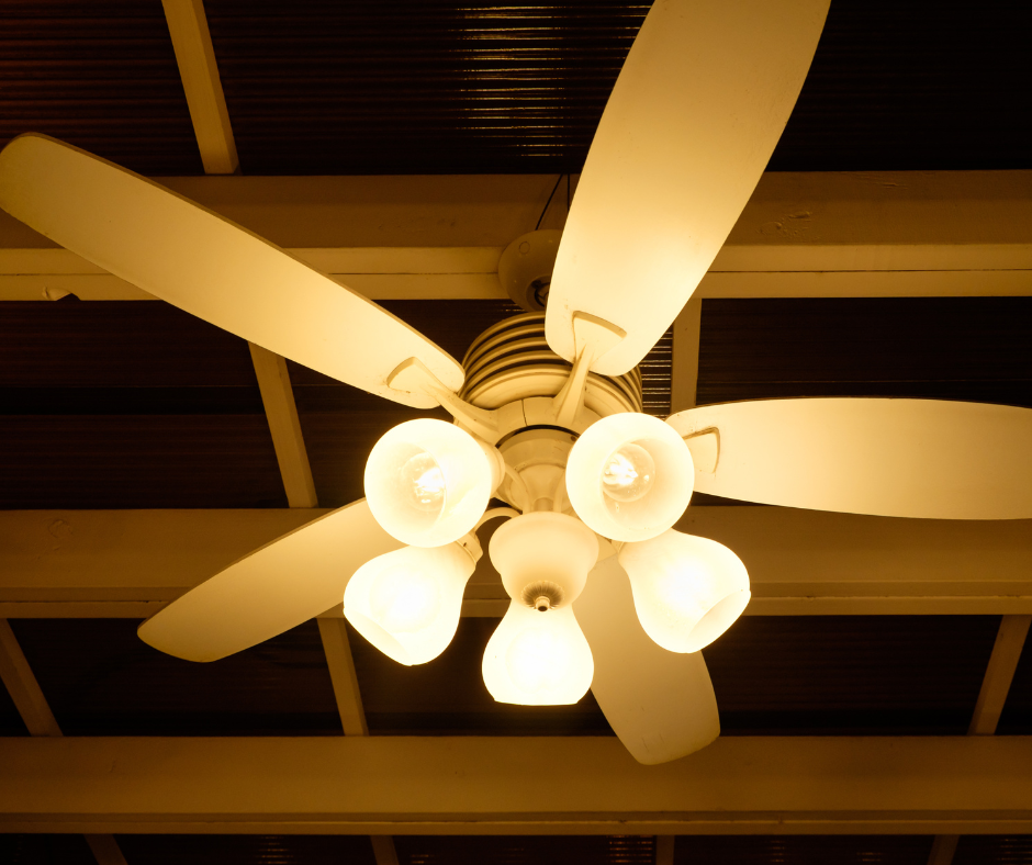 ceiling fan electrician